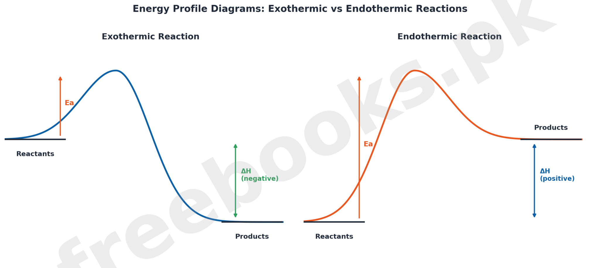 Energy Profile Diagrams for exothermic and endothermic reactions, Chemistry Class 11 Chapter 6 Chemical Energetics