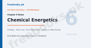 Chemistry Class 11 Chapter 6 Chemical Energetics notes featured image