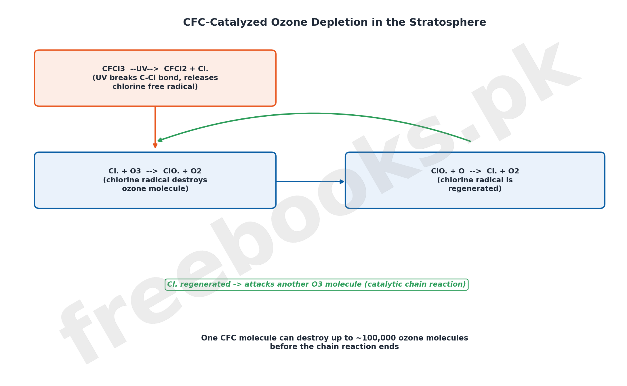CFC catalyzed ozone depletion mechanism diagram - Chemistry Class 11 Chapter 14 Atmosphere notes