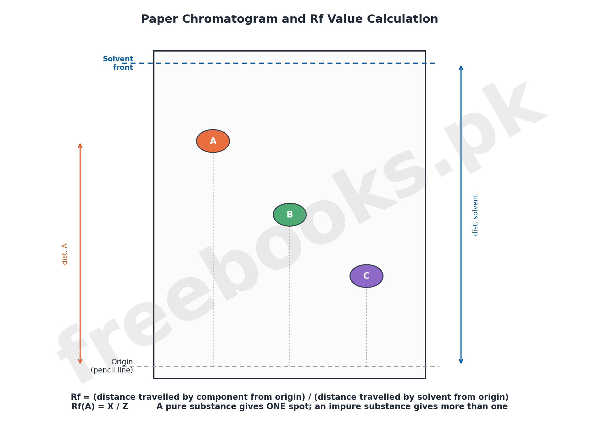 Paper chromatogram and Rf value calculation diagram - Chemistry Class 11 Chapter 15 Basic Separation Techniques notes