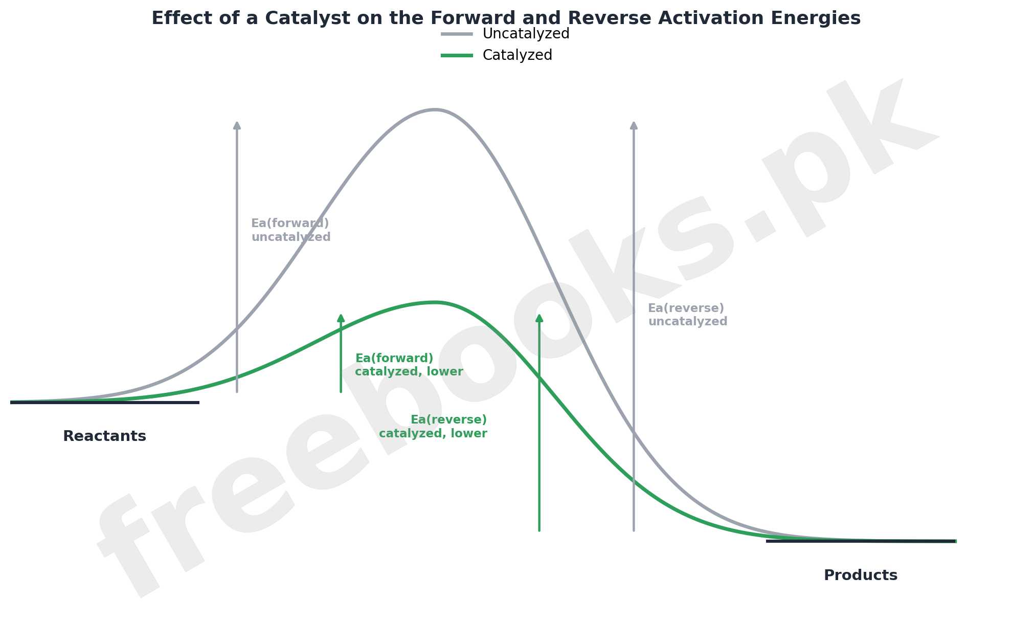 Energy profile diagram showing a catalyst lowering the activation energy of both forward and reverse reactions equally