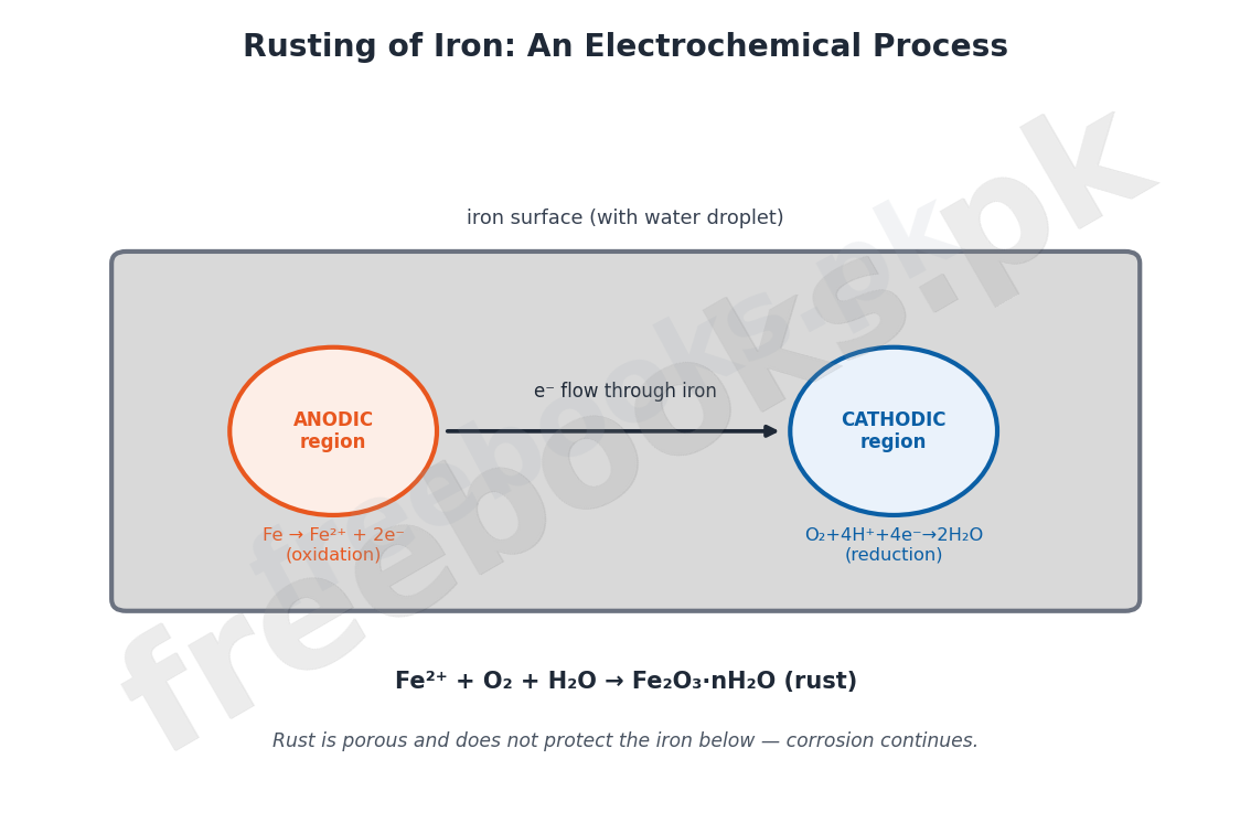 Diagram of anodic and cathodic regions in the rusting of iron