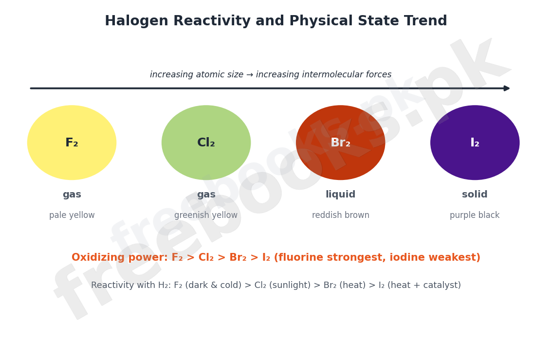 Chemistry Class 9 Unit 8: Chemical Reactivity Notes 5 Chart comparing halogen physical states, colours, and reactivity trends