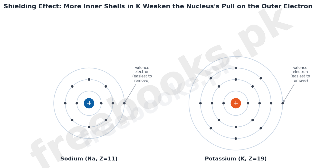 Sodium versus potassium electron shell diagram showing shielding effect