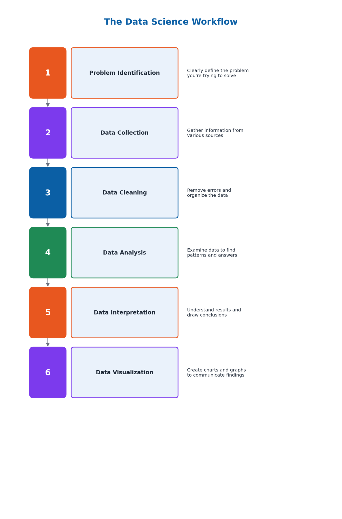 The Data Science Workflow