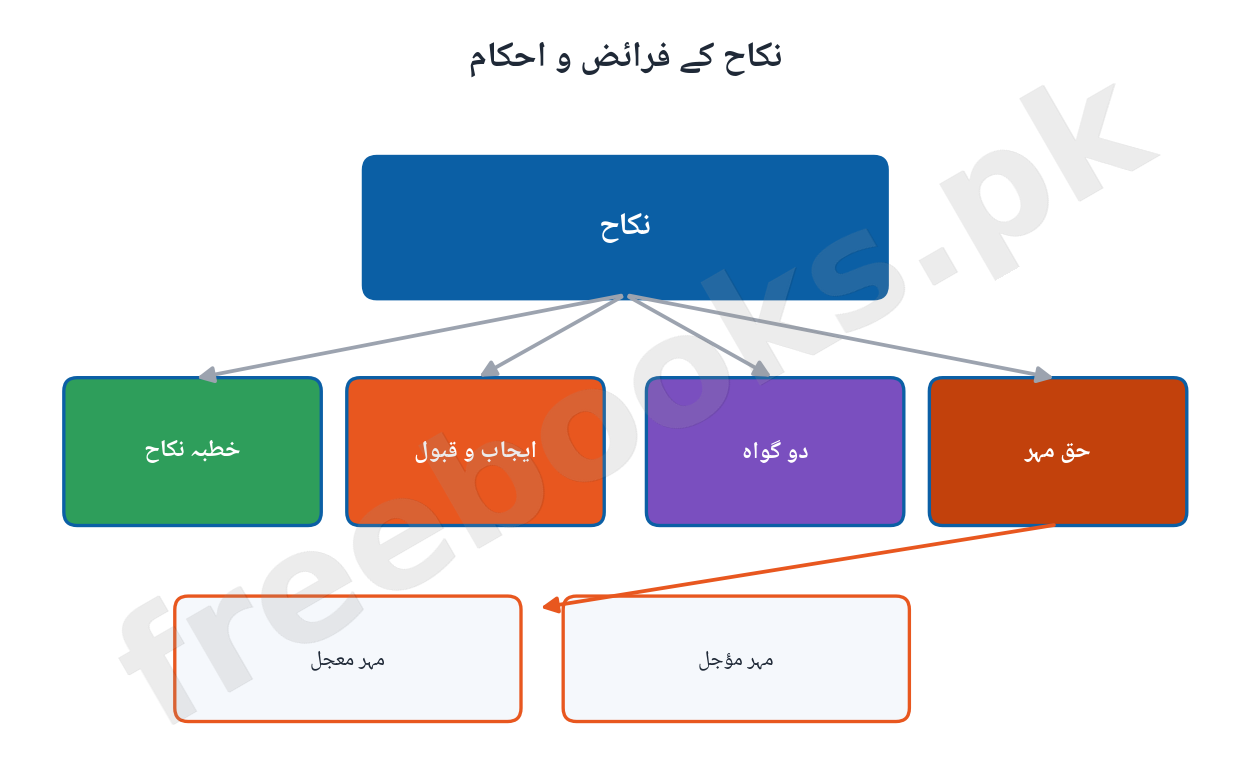 Islamiat Class 11 Chapter 5: Husn-e-Muamlaat o Muashrat Notes (Urdu Medium) 3 Nikah Arkan o Ahkam - Islamiat 11 Chapter 5 Diagram