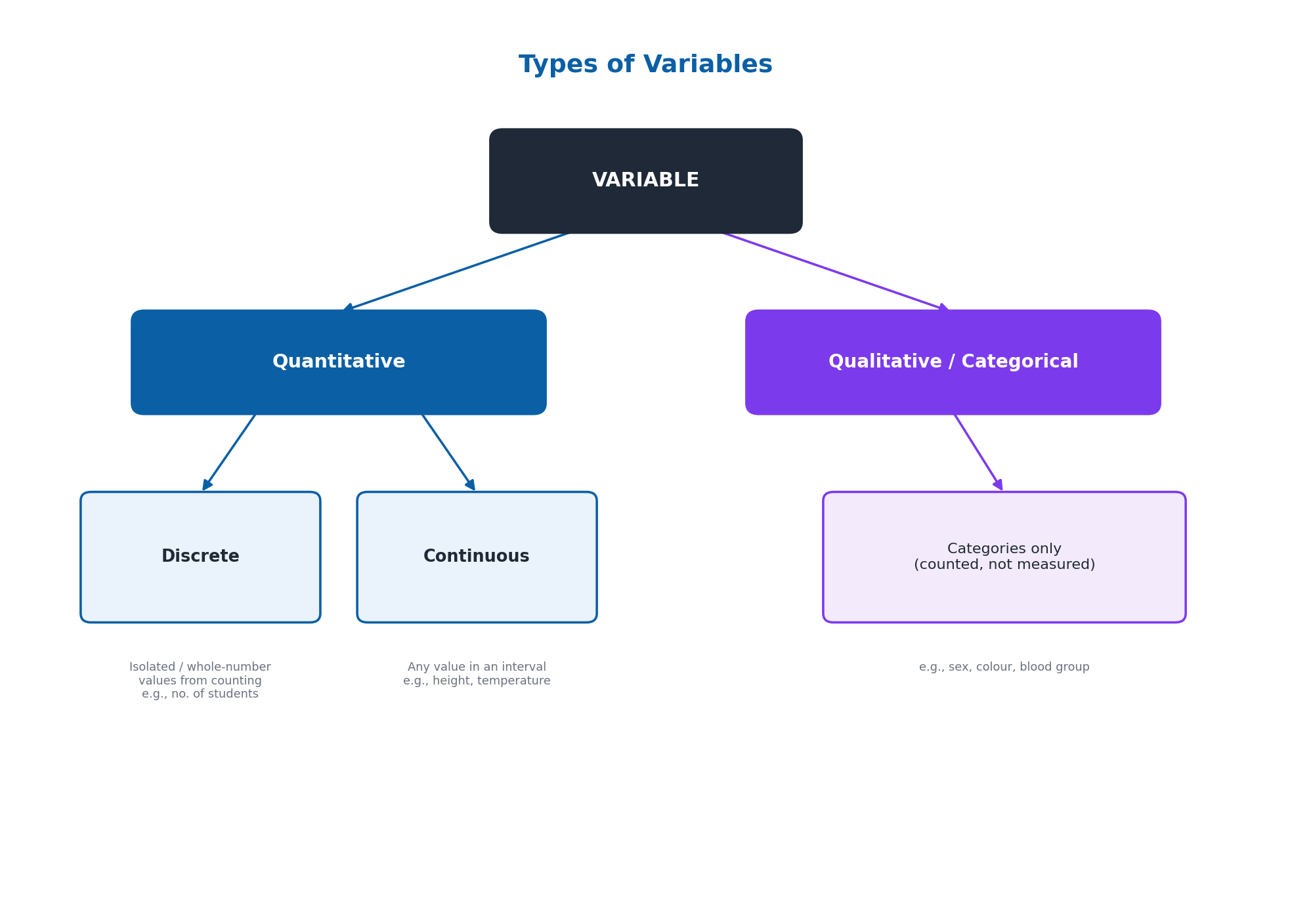 Chapter 1: Introduction to Statistics – Statistics 1st Year Notes 3 Types of Variables