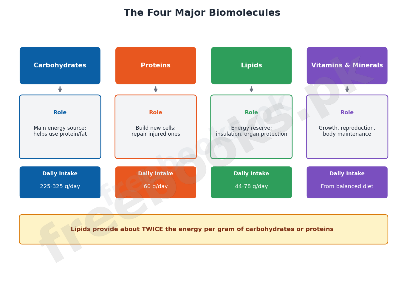 Comparison chart of carbohydrates, proteins, lipids and vitamins/minerals showing role and daily intake