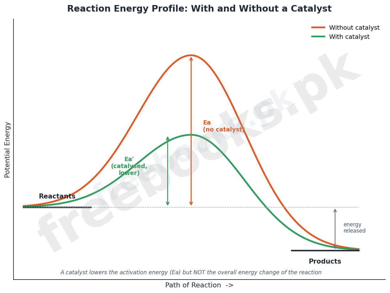 Chemistry Class 10 Chapter 17: Reaction Kinetics Notes 3 Potential energy versus reaction path diagram comparing the uncatalysed and catalysed pathways, showing the catalyst lowers activation energy
