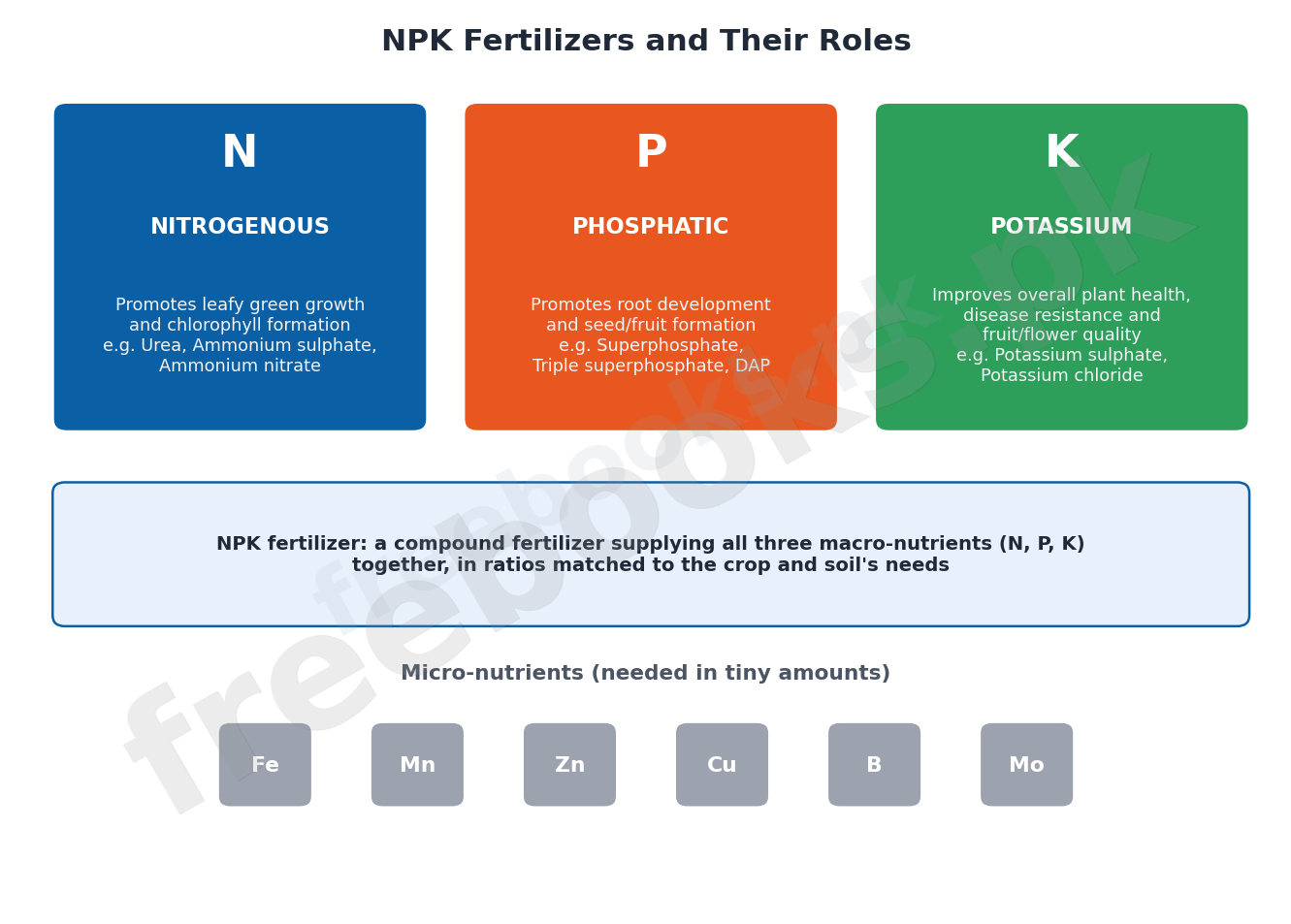 NPK Fertilizers and Their Roles